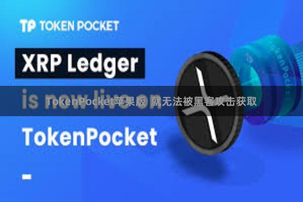 TokenPocket苹果版  就无法被黑客攻击获取