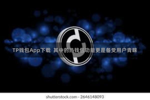 TP钱包App下载  其中的热钱包功能更是备受用户青睐